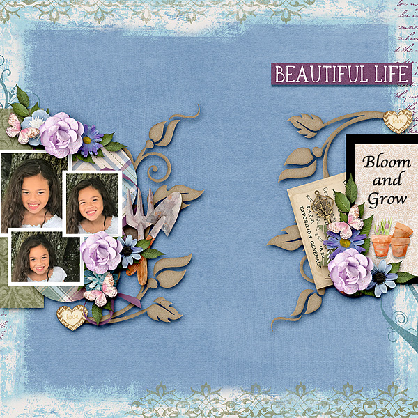 Beautiful Life
