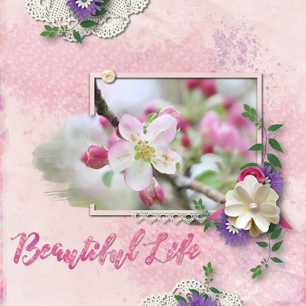 Beautiful Life