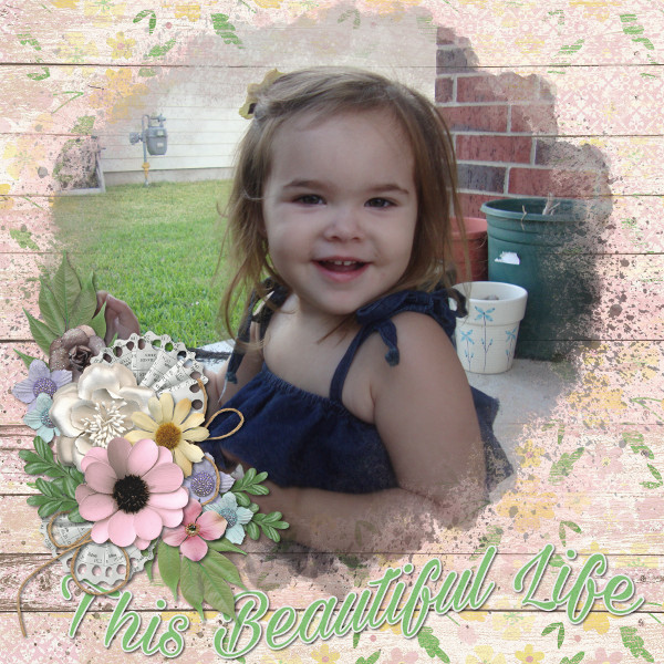 Beautiful Life