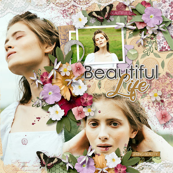Beautiful Life