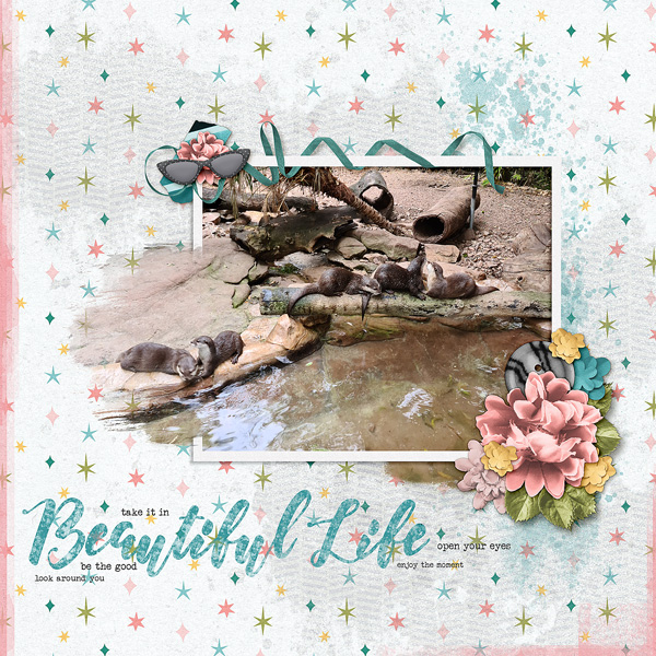 Beautiful Life
