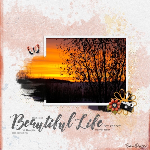 Beautiful Life