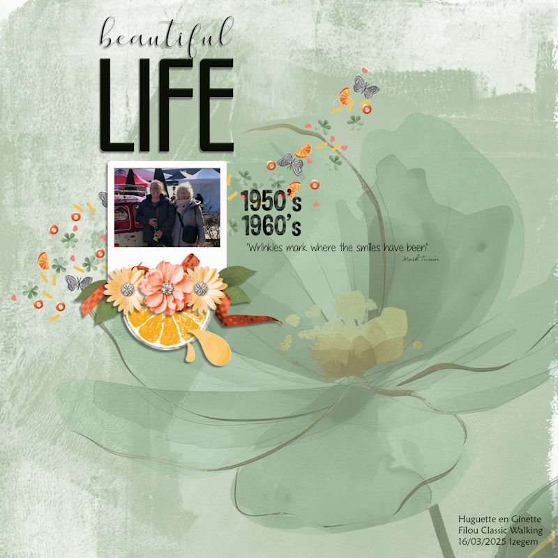 Beautiful Life