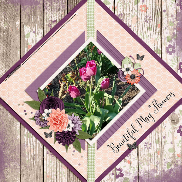 beautiful may flowers