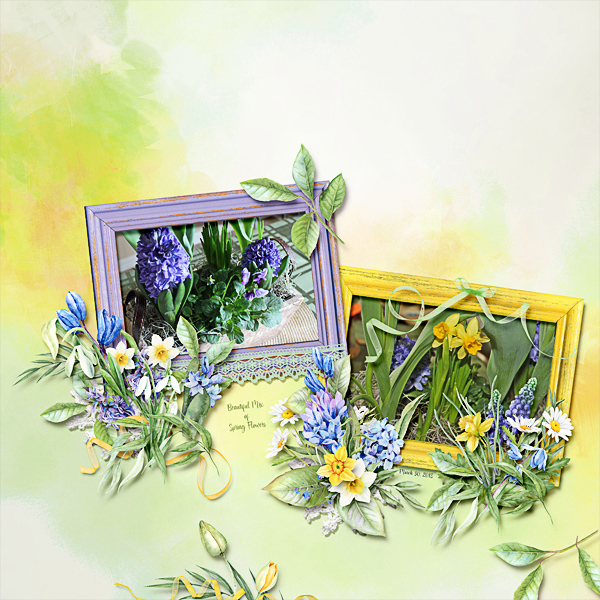 Beautiful Mix of Spring Flowers