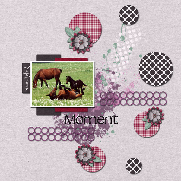 Beautiful Moment