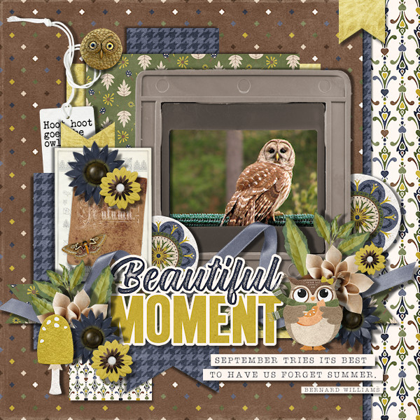 Beautiful Moment