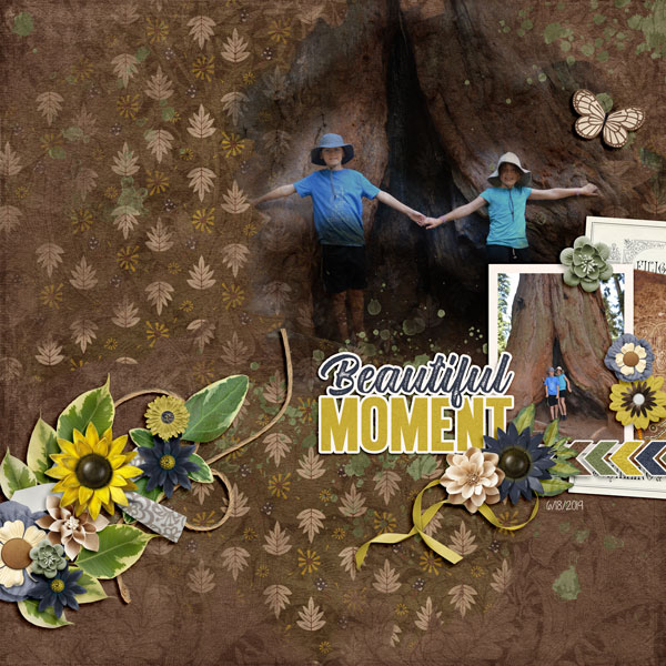 Beautiful Moment