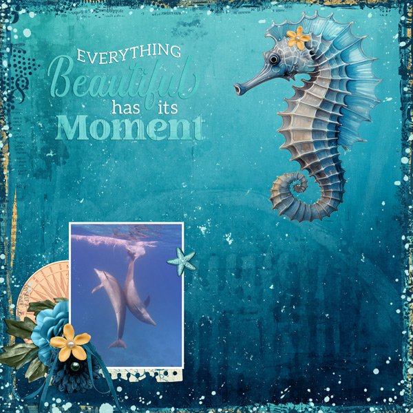 beautiful moment