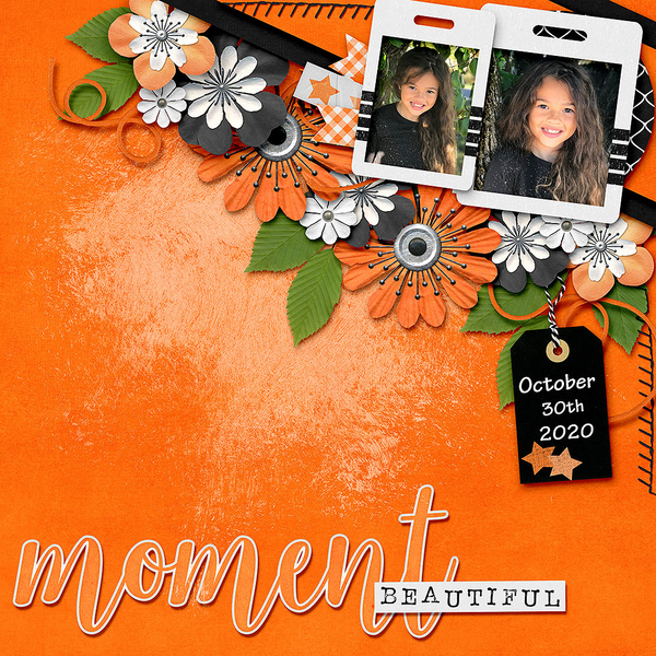 Beautiful Moments