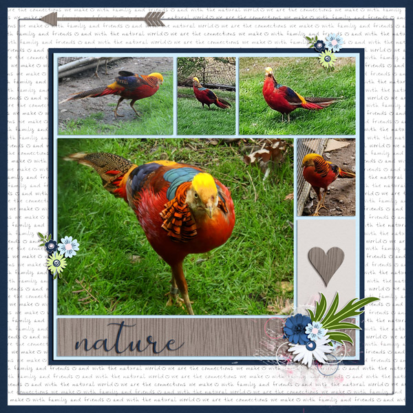beautiful nature 2023