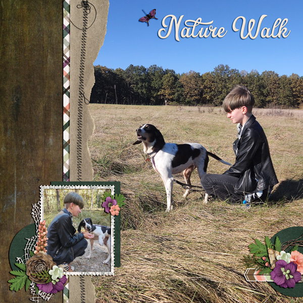 beautiful nature walk