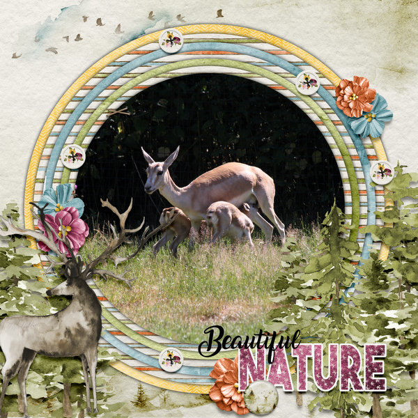 Beautiful nature