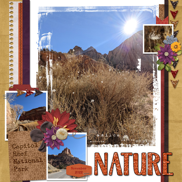 Beautiful Nature