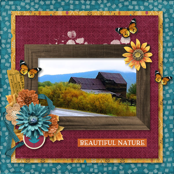 Beautiful Nature