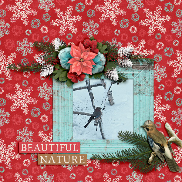 Beautiful-nature1