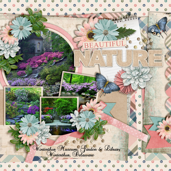 Beautiful-Nature4