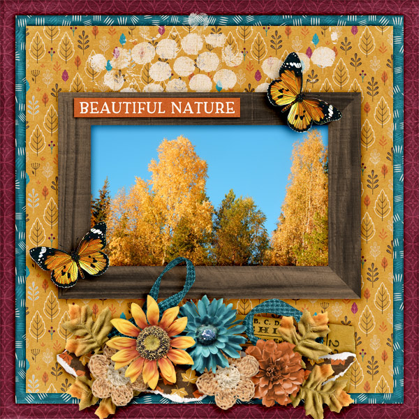 Beautiful-nature5