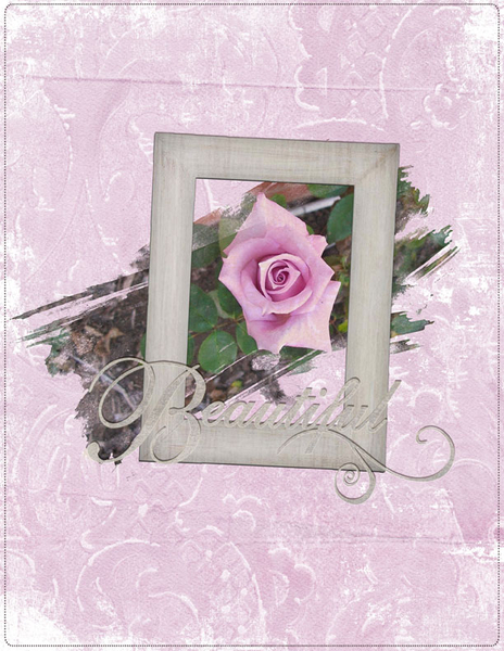 Beautiful Rose