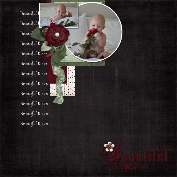 Beautiful Roses