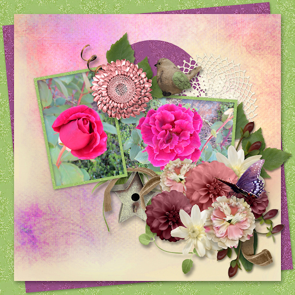 Beautiful Roses...