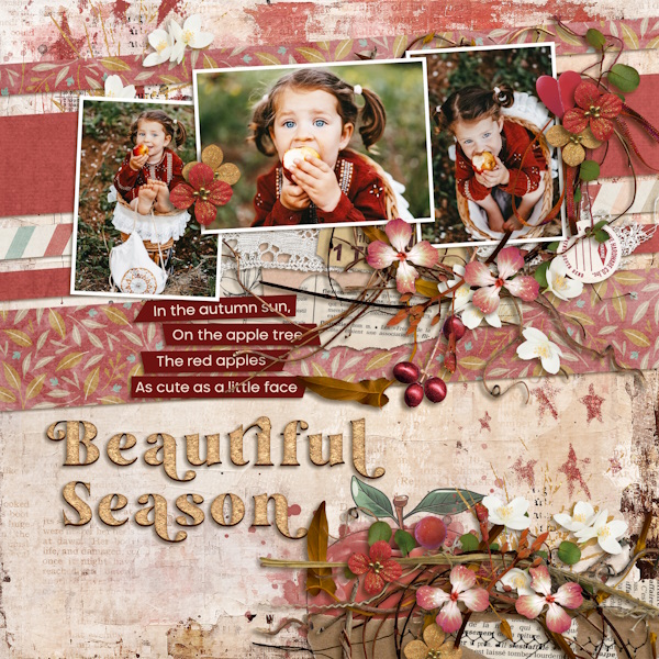 Beautiful Season