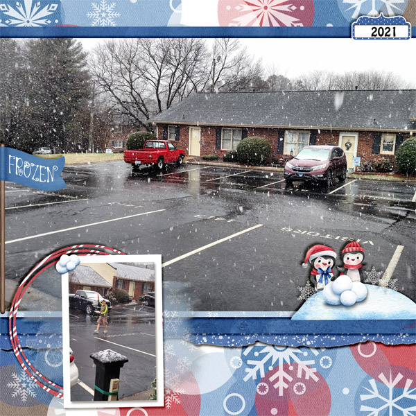 Beautiful Snow Flakes