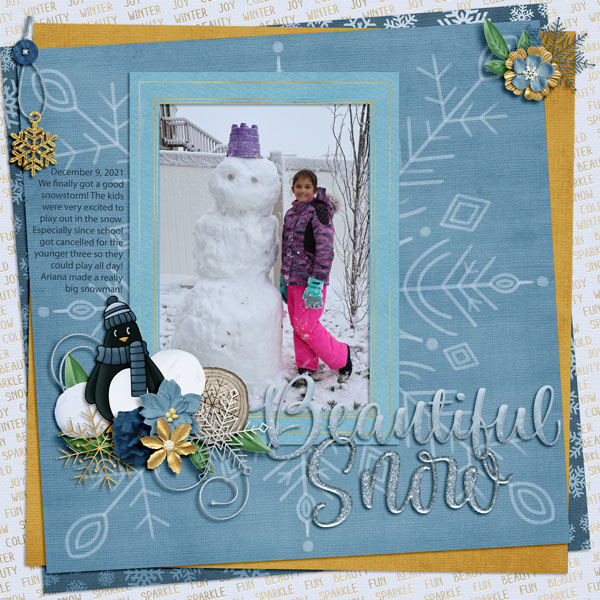 Beautiful Snow