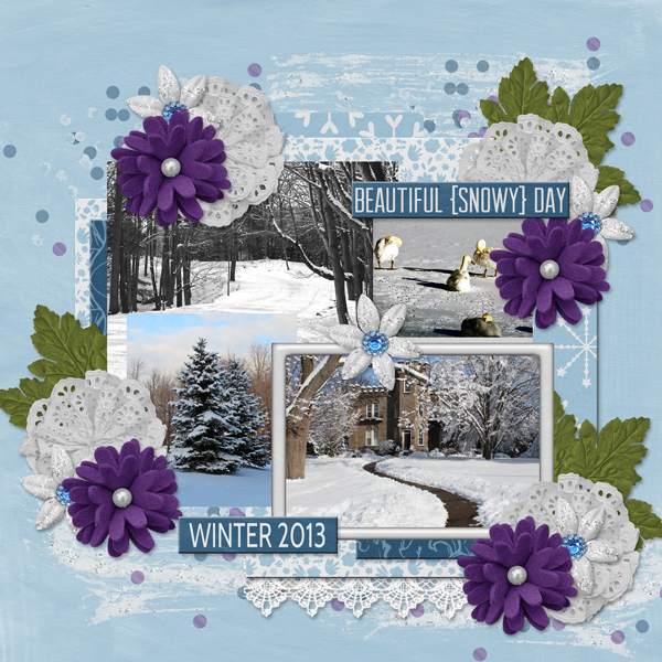 Beautiful snowy day - Winter 2013