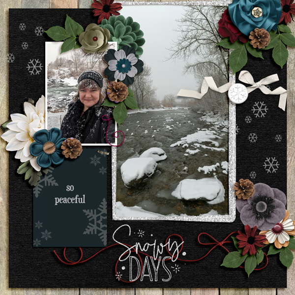 Beautiful Snowy Day