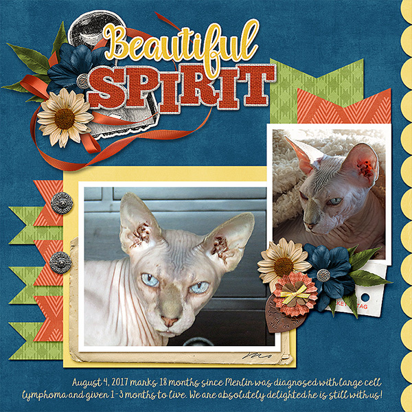 Beautiful Spirit