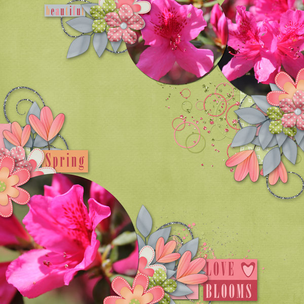 Beautiful Spring