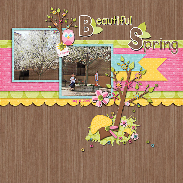 Beautiful Spring