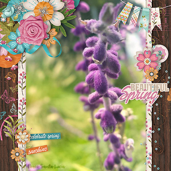 beautiful spring
