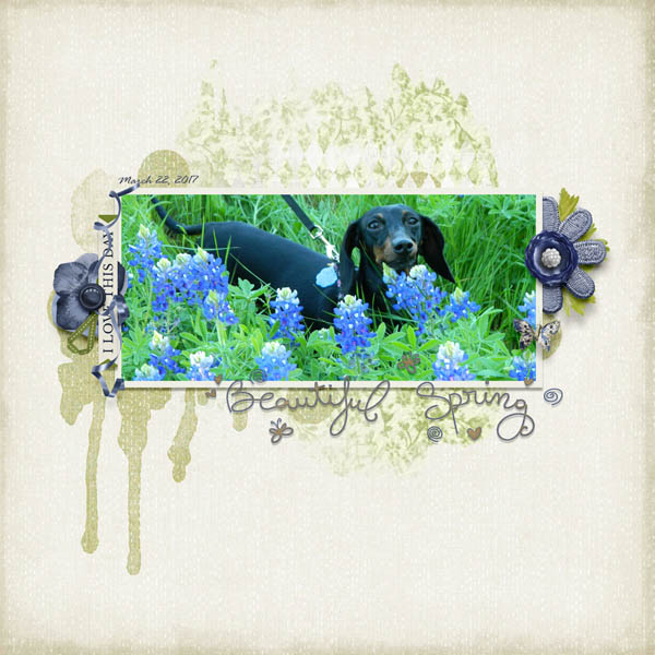 Beautiful Spring