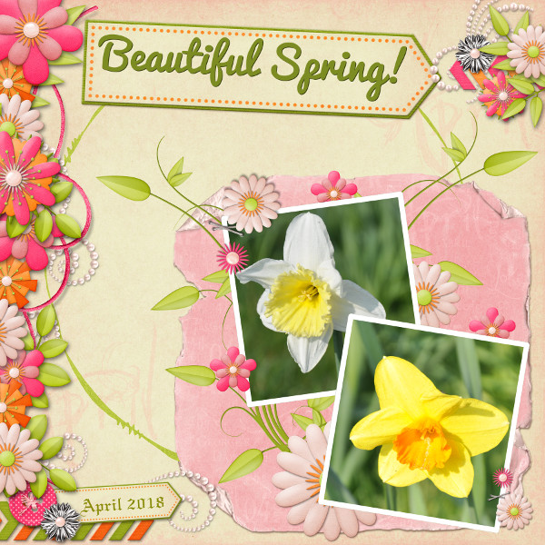 Beautiful Spring!