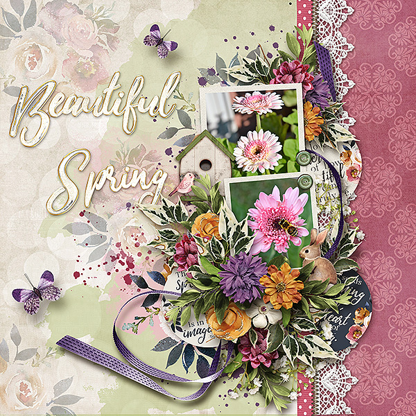 Beautiful Spring