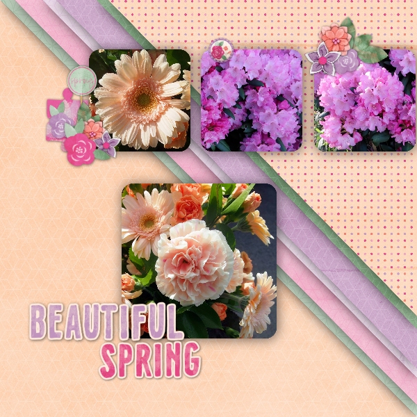Beautiful spring