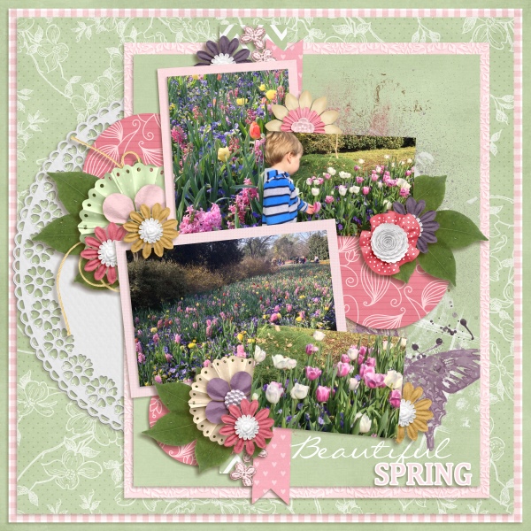 Beautiful Spring