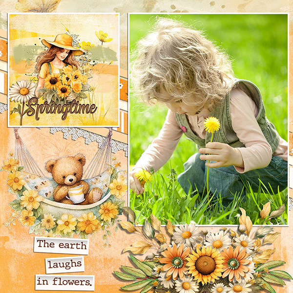 Beautiful Spring