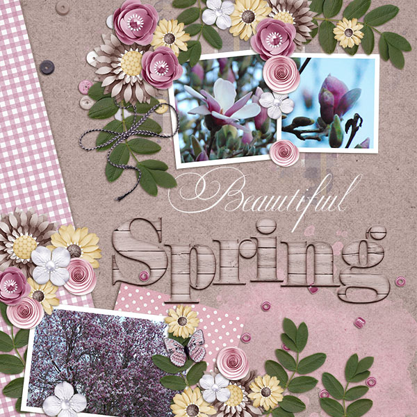 Beautiful Spring
