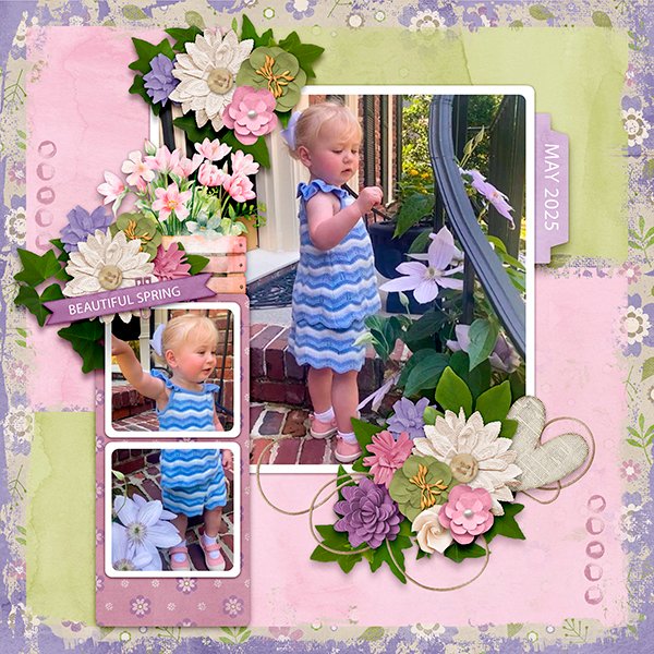 Beautiful Spring