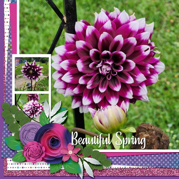 Beautiful Spring