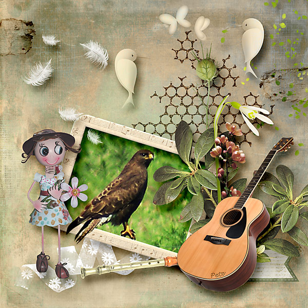Beautiful Summer