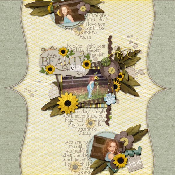 Beautiful Sunflower