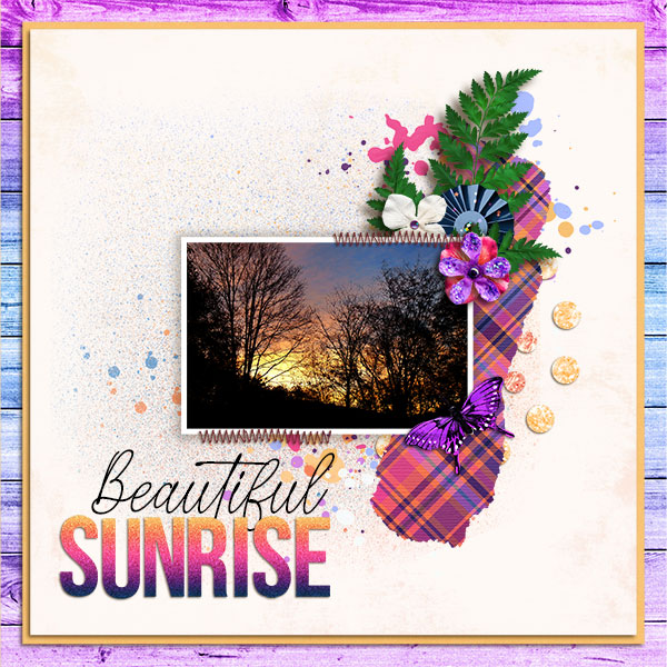 Beautiful Sunrise