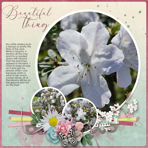Beautiful Things
