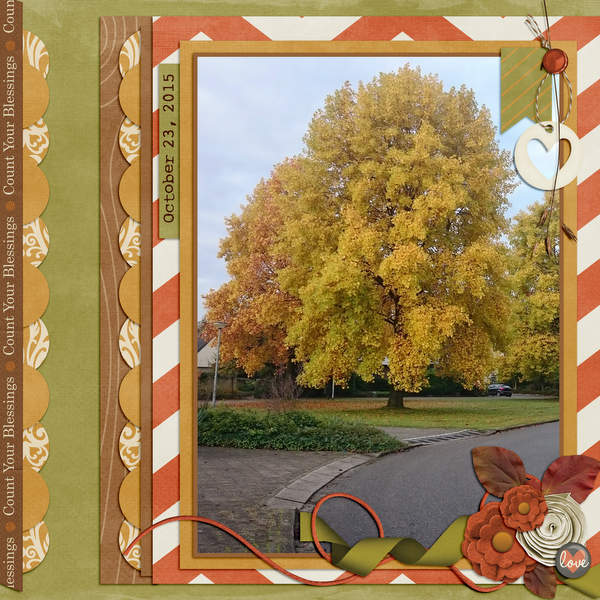 Beautiful tree