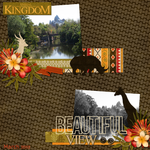 Beautiful View {Animal Kingdom 2013}