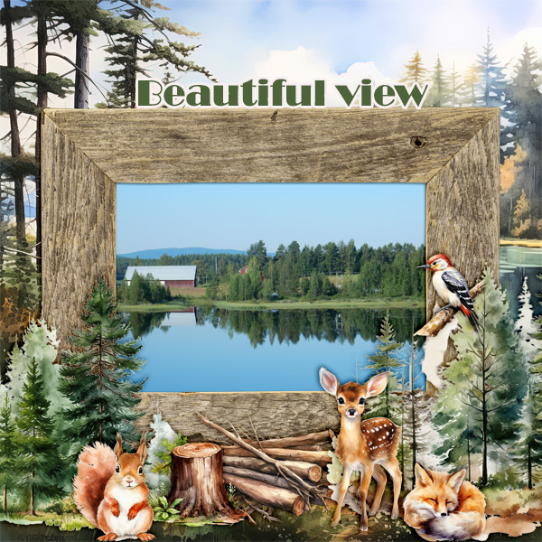 Beautiful-view